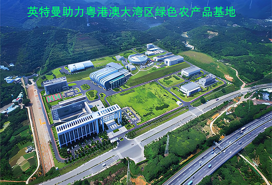英特曼助力粤港澳大湾区绿色农产品基地建设